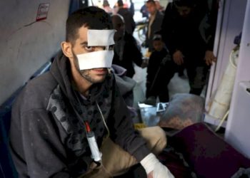   استمرار الفشل الدولي في حماية الشعب الفلسطيني