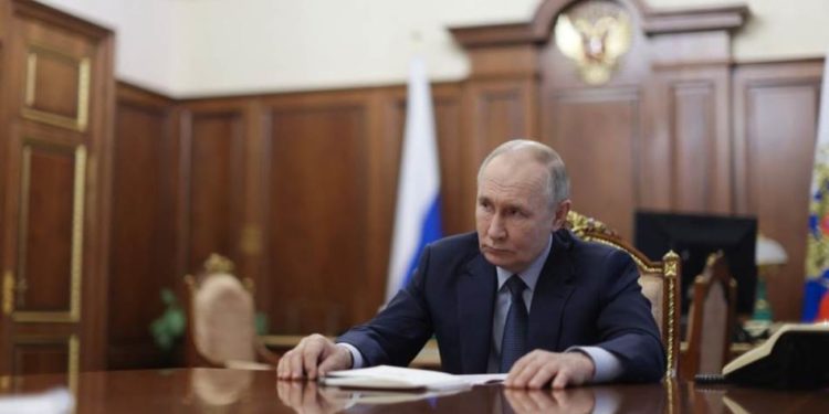    ترامب بمبادرته ينتزع من بوتين النصر في أوكرانيا