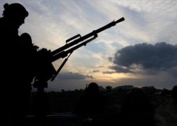 إلى ذكرى سنابل احترقت قبل الحصاد