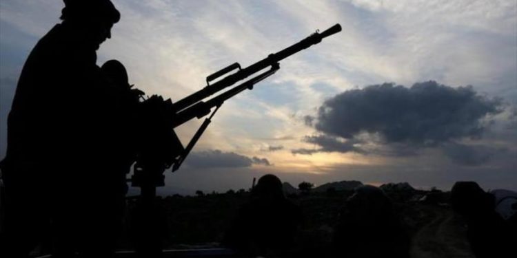 إلى ذكرى سنابل احترقت قبل الحصاد